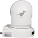 BirdDog Eyes P200 PTZ Camera (White), NDI/SDI/HDMI Output, 30x Optical - New Media