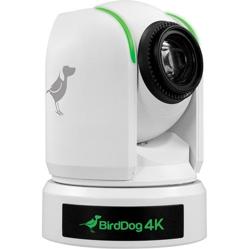 BirdDog Bundle: 3x P4K PTZ NDI Cameras (White) with Free PTZ Keyboard - New Media