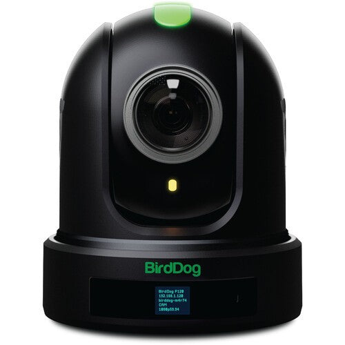 BirdDog P110 PTZ Camera - Black - New Media