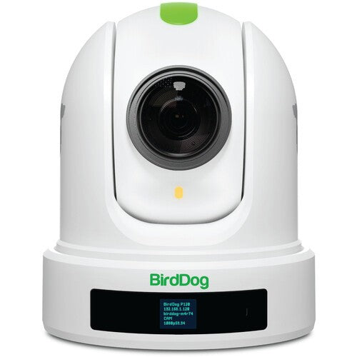 BirdDog P110 PTZ Camera - White - New Media