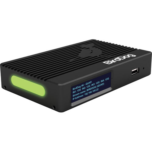 BirdDog 4K Quad NDI Encoder/Decoder - New Media