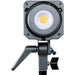 Aputure Amaran 100D Daylight LED Light - New Media